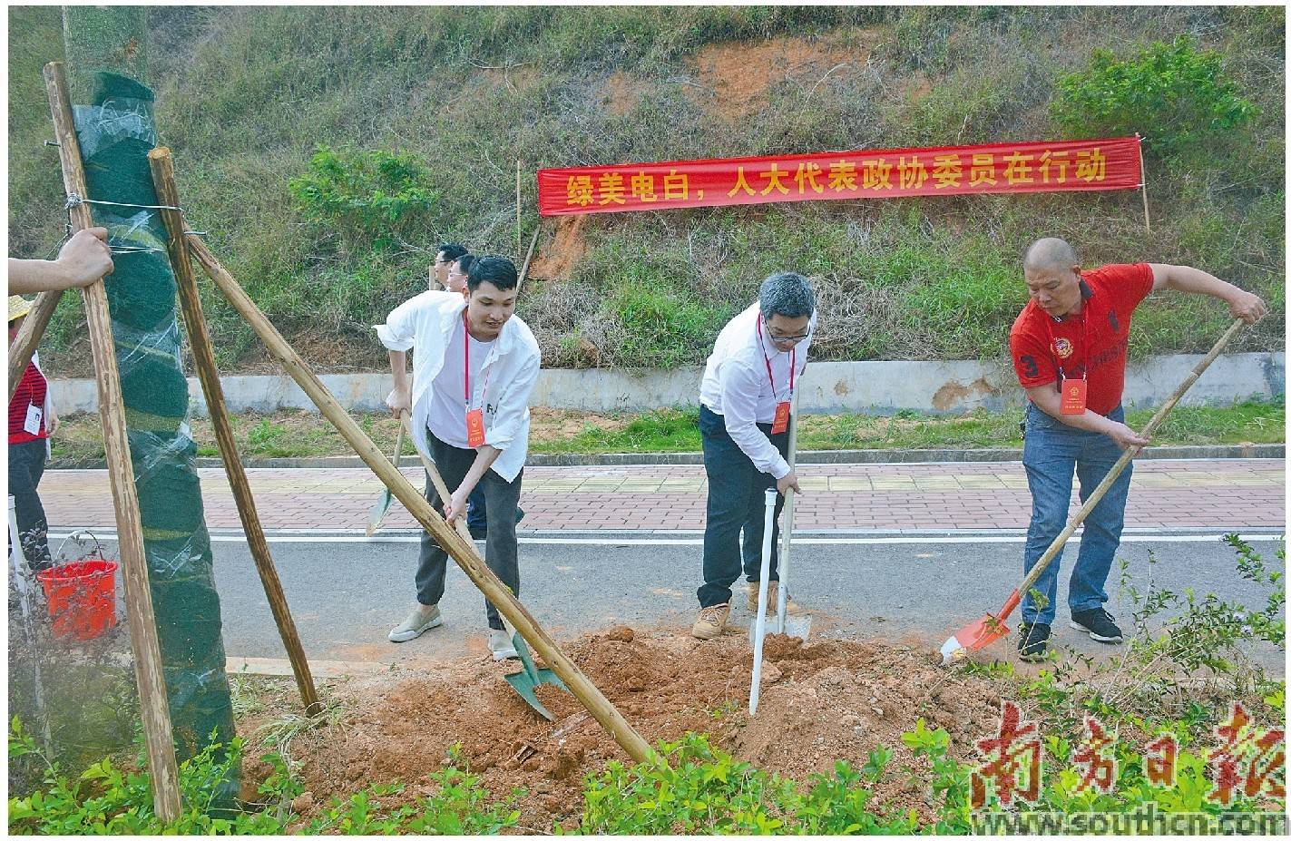 近日,电白区以"绿美电白,人大代表政协委员在行动"为主题,组织发动