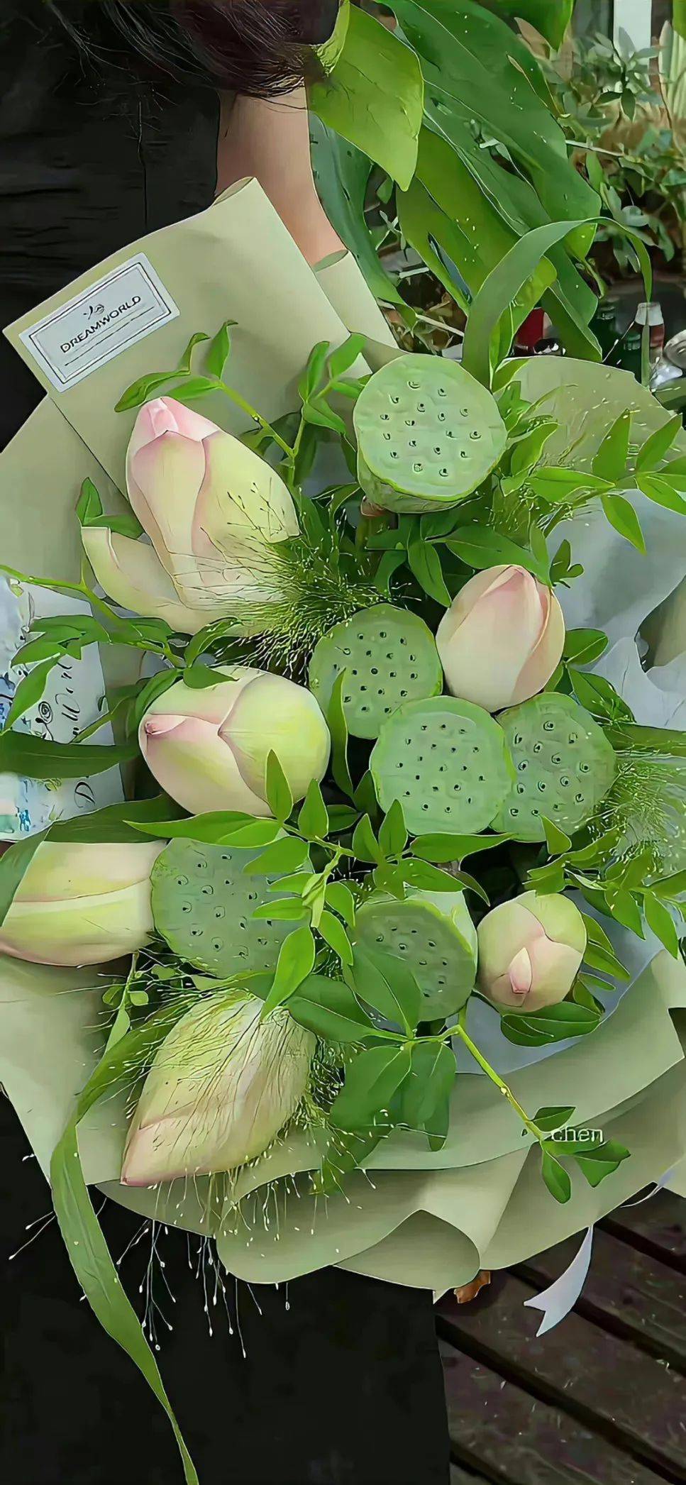 壁纸 | 夏日荷花 锁屏壁纸