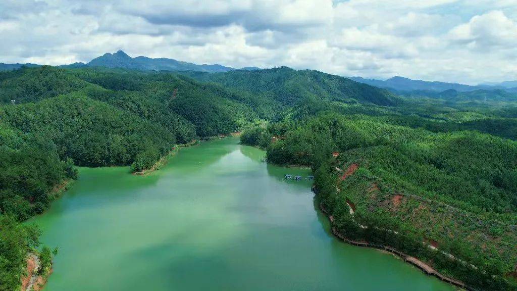 五四系列活动之二丨青春征集令邵武世遗1号风景道建设等您建言献策