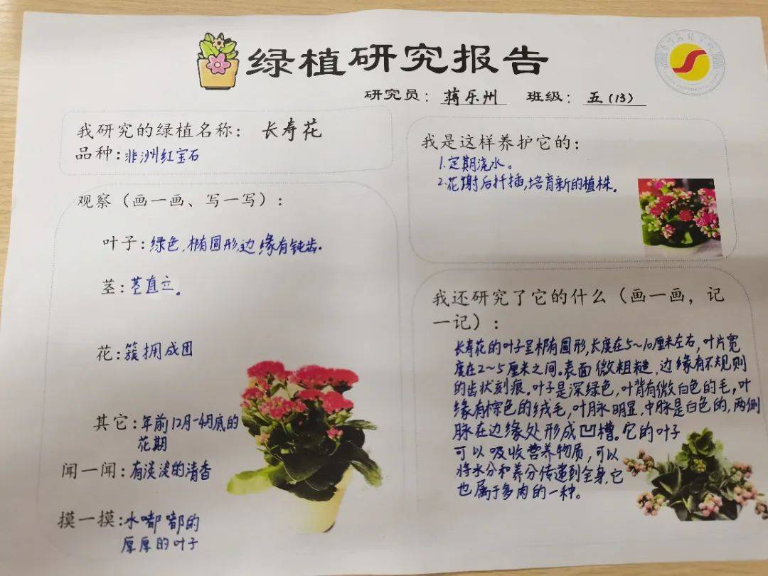 泰州实验学校绿植小园丁劳动课程实践