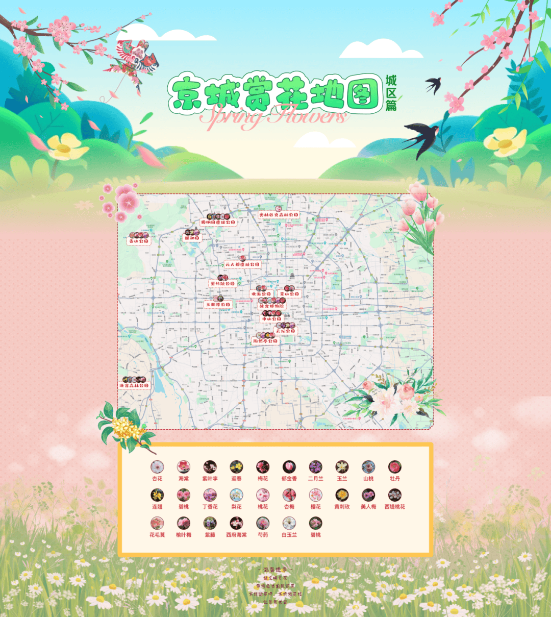 全国春日赏花地图来了在各个省份都有什么花在等你
