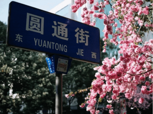 快来！自己掏钱，我在贵阳赚“花”钱