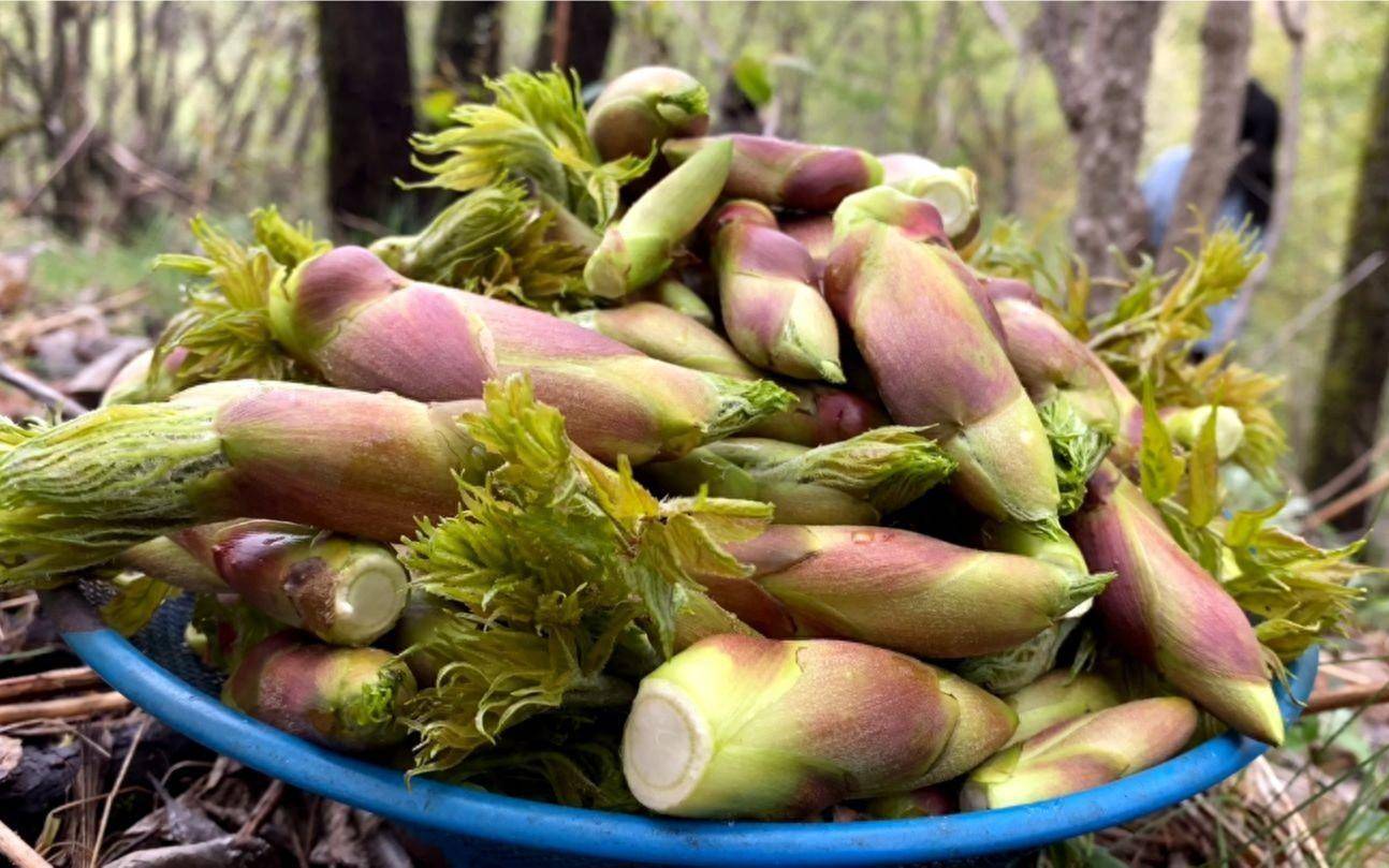 "千山万水 就爱天水"——"龙城味道"天水春季美食品鉴系列之乌龙头