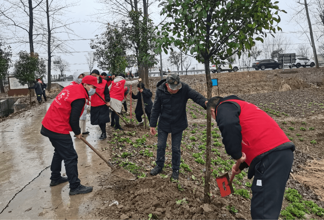 【镇街动态】陈集镇:雷锋精神放光芒 代表志愿服务忙_刘海燕_老人