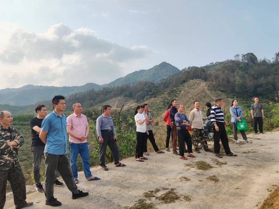 国强乡:邀农技专家为灾后生产"把脉"_冰雹_蔡荣生_进行了