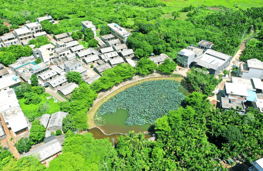 0898-65569366冯塘绿园地址:海口市秀英区224国道冯塘绿园电话