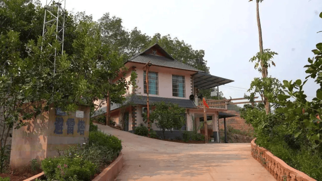 全域旅游综合收入约1803亿元沪滇协作之花在这里绽放