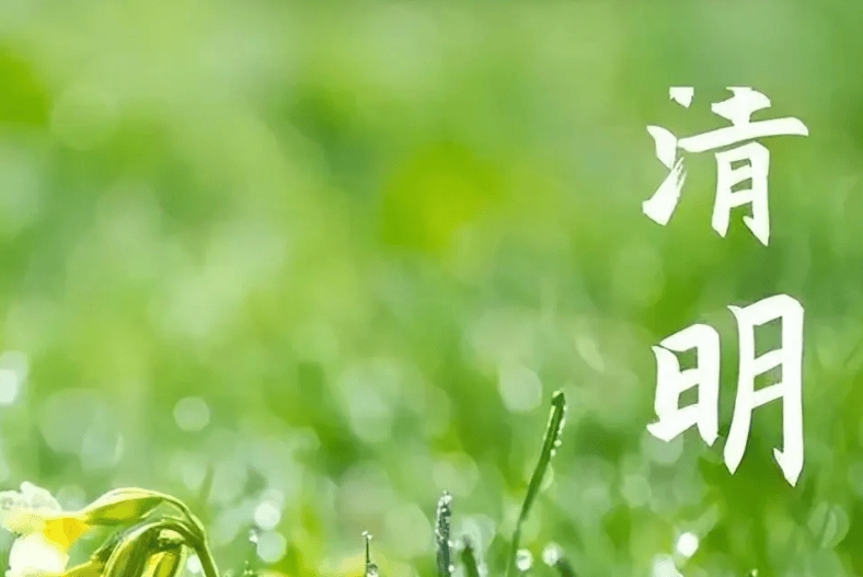 清明节播种图片图片