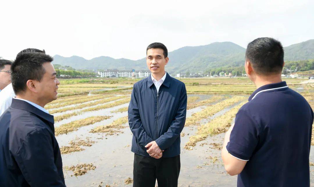 张本锋检查春耕备耕和森林防火工作