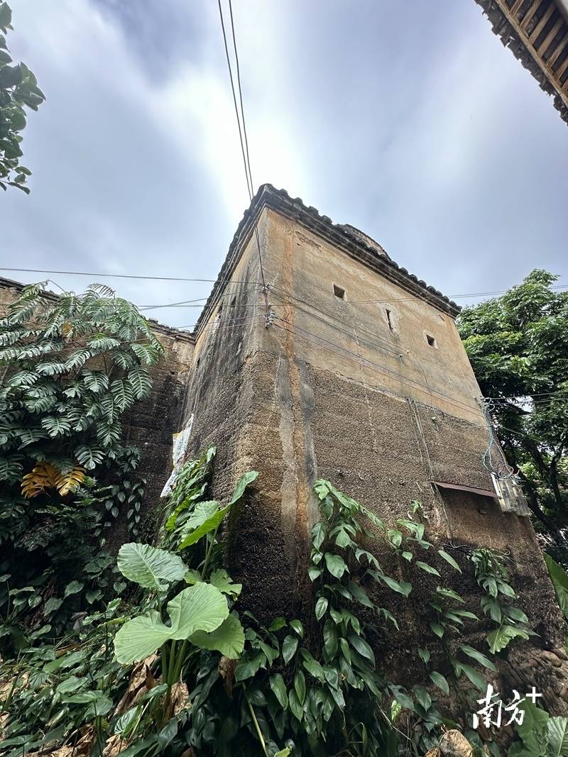 形似宫殿又如军事堡垒探秘松口明代围屋里的传奇故事围屋古韵客家瑰宝
