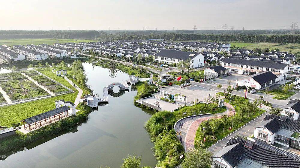 邳州,四连冠!_农业_乡村_徐州市