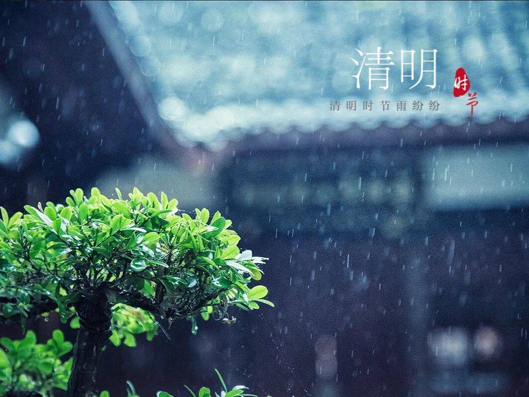 清明佳节雨纷纷图片图片