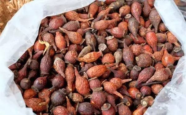 功效_青梅_枇杷