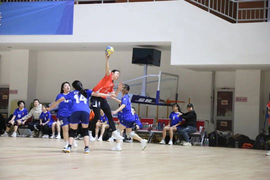 聚焦2024北京市青少年手球冠军赛丰台小花摘桂冠