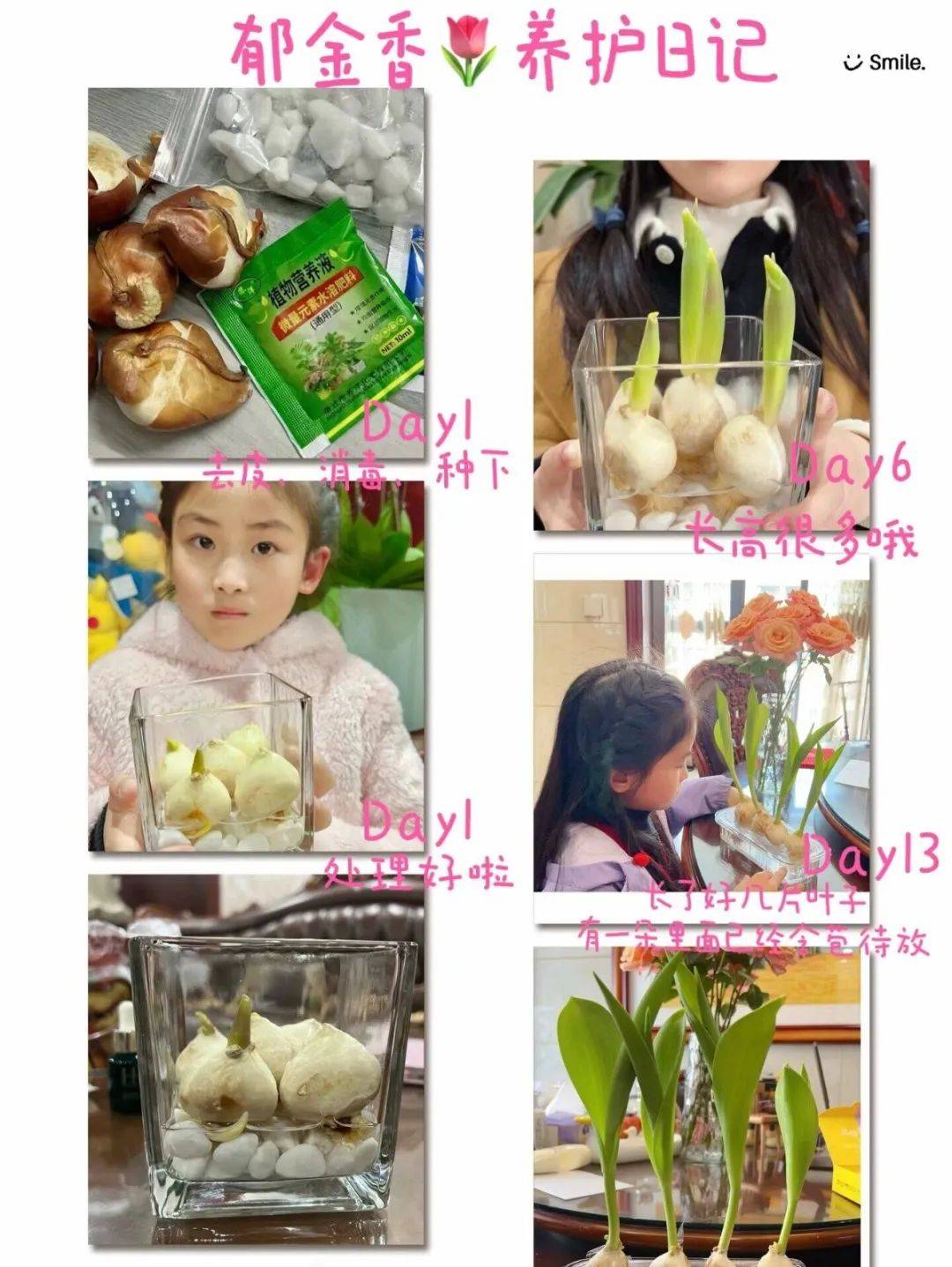 绿植小园丁 劳动润童心 ——泰州实验学校"绿植小园丁"劳动课程实践
