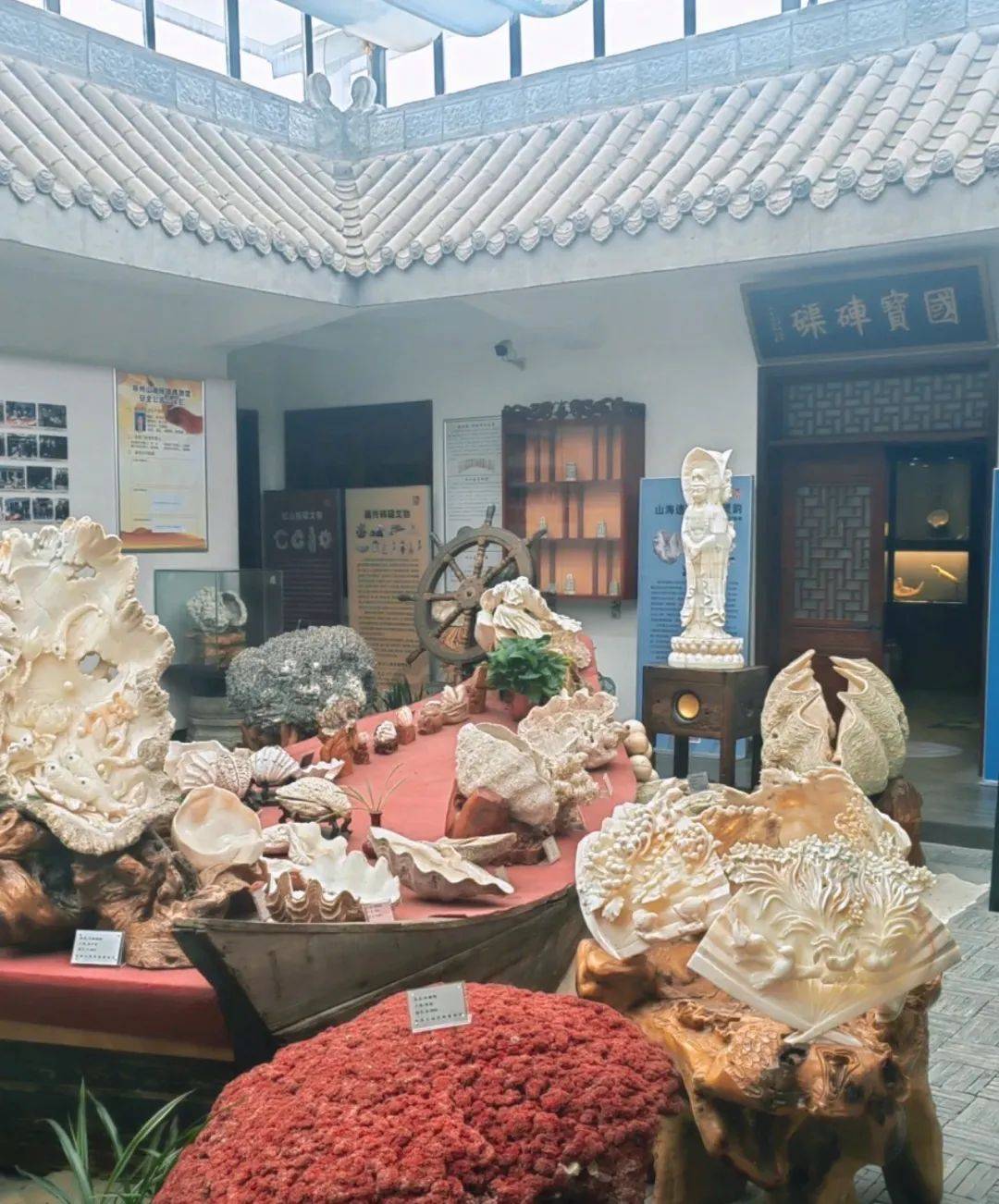 这家博物馆藏品主要由亿万年前的陆地砗磲化石标本各种海洋贝壳标本