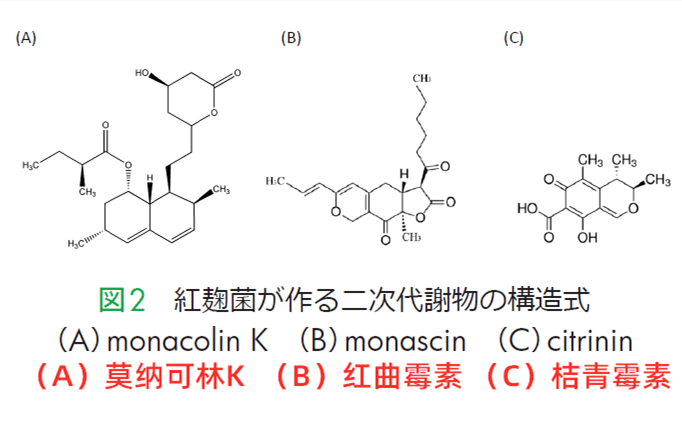 红曲霉素眼药膏图片