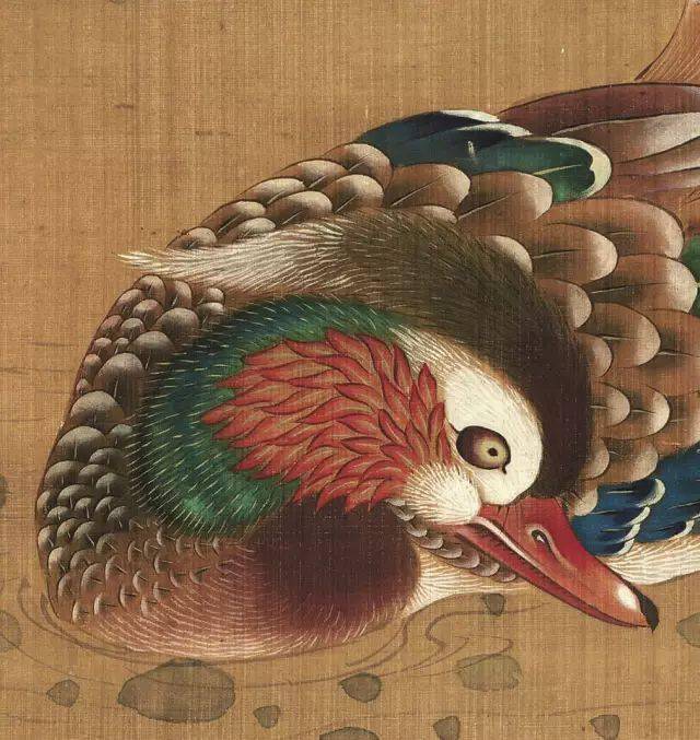 赏唯美鸳鸯国画只羡鸳鸯不羡仙