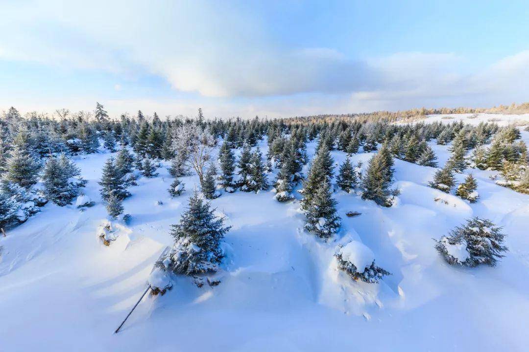 大碴子味儿之外的硬核东北你根本不知道