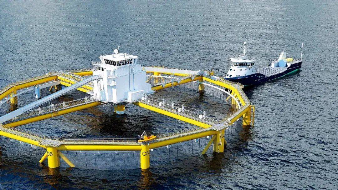 受挪威启发,中国自主研发了桁架类智能深水网