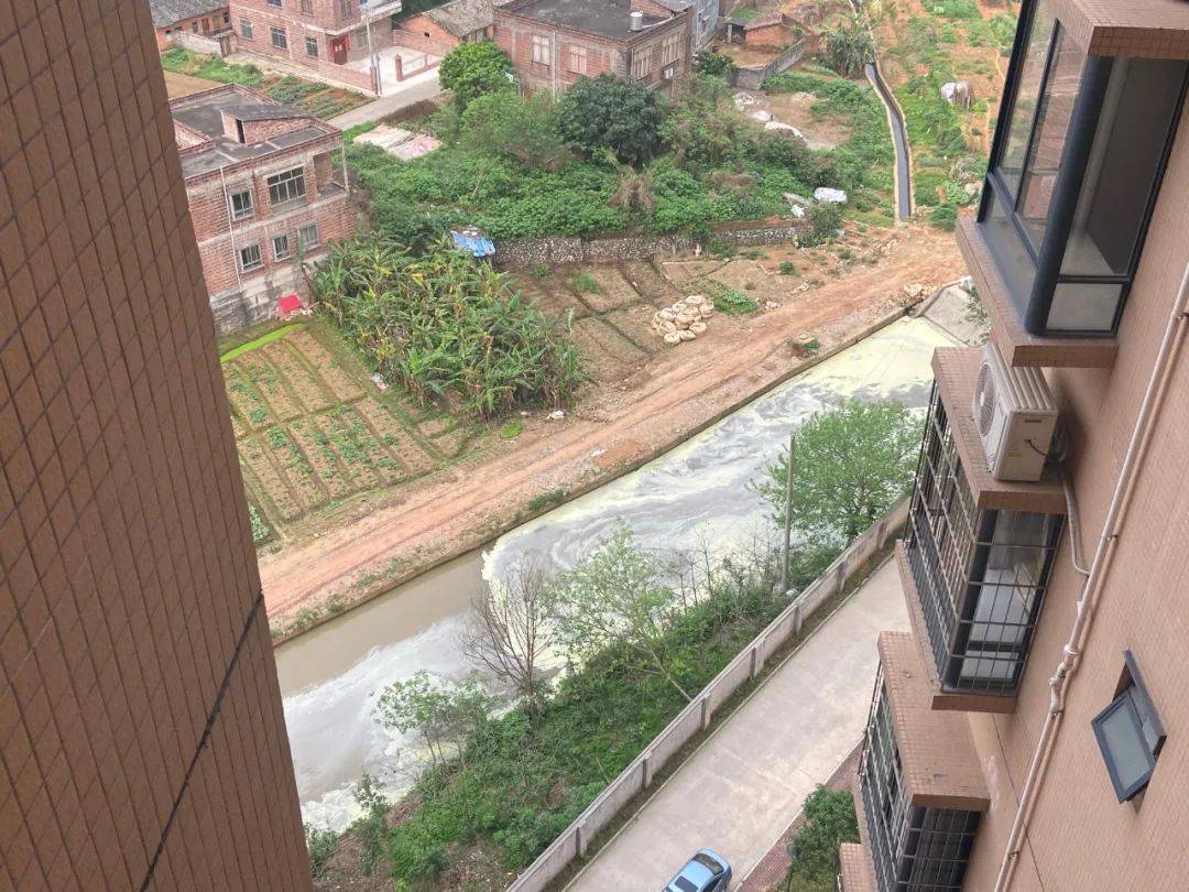 现场直击兴业石南香山华府后一排水沟被排入不明黄色漂浮物