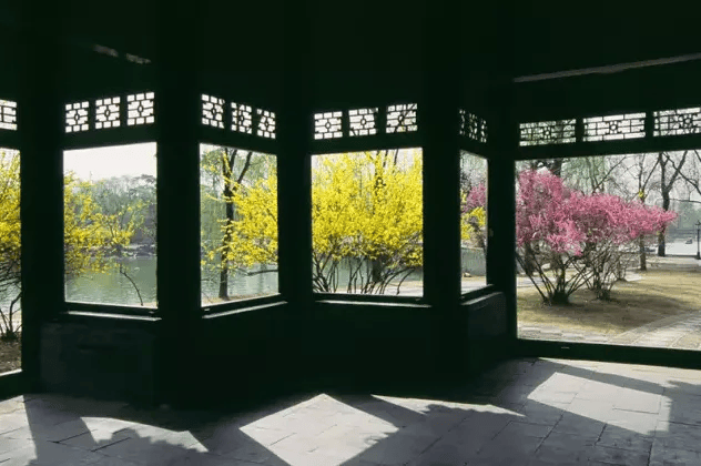 博物馆——磬锤峰景区(杏花)——双滦区双塔山(杏花)——大贵口村采