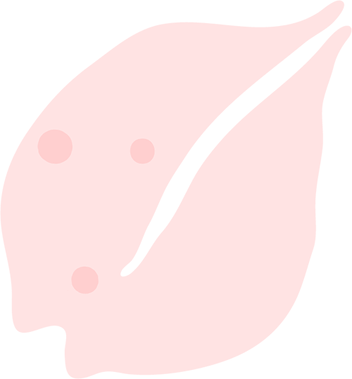 百姓百家桃花节限定春日野趣环湖亲子定向赛报名通道开启