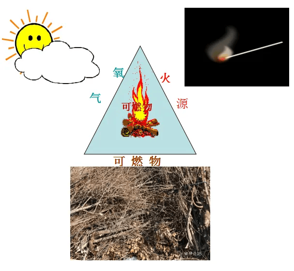 应知应会丨森林草原防灭火常识(1)_火灾_自然灾害_条件