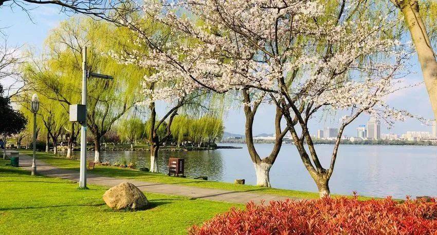 最美人间4月天!浙江10个适合春天旅游的景点,假期挑一个出发吧!
