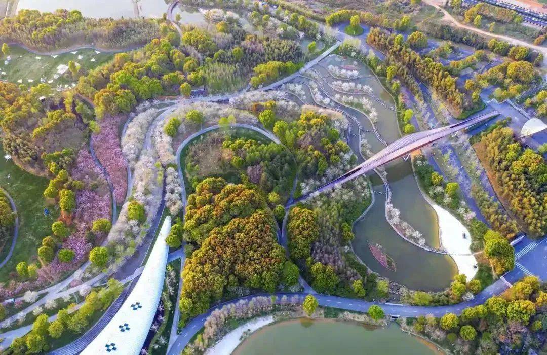 忙趁东风放纸鸢,金华超级适合放风筝的地方都整理好了,去飞吧~_公园