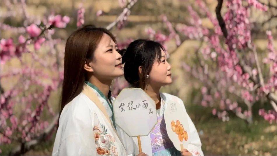天水麻辣烫麦积邀您来春风拂面桃花开桃花笑迎八方客