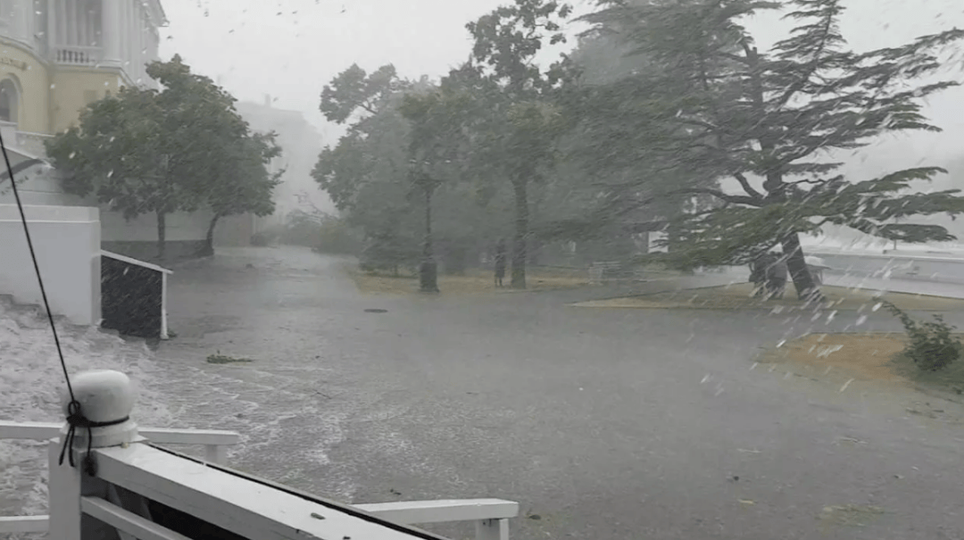 倾盆大雨韦恩图片