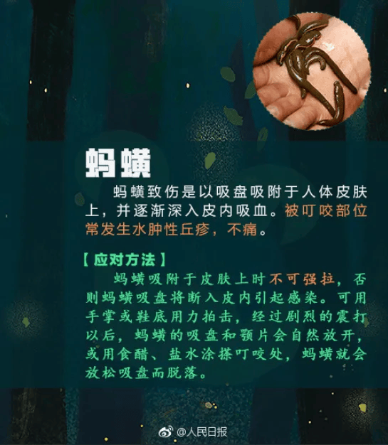 男子扫墓后进了医院,罪魁祸首竟然是→_恙虫_黄女士_霉菌