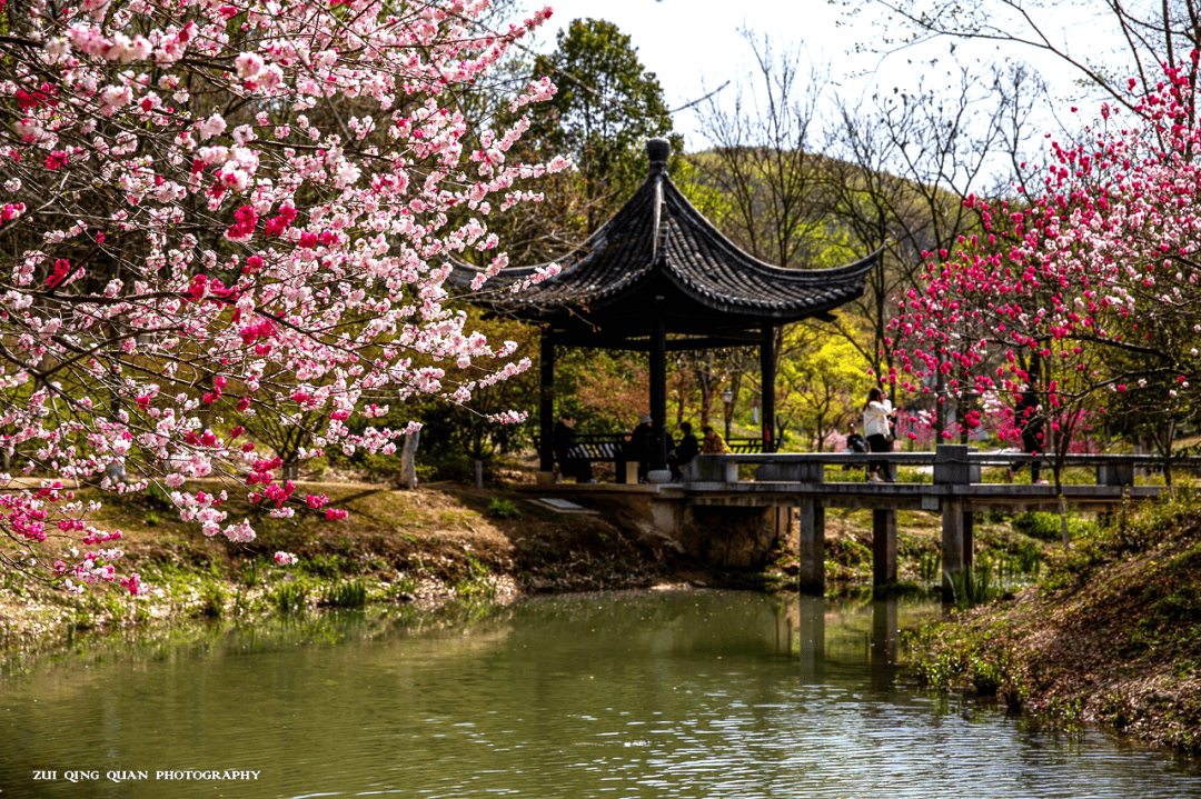 春暖花开镇江这些值得n刷的地方