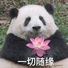 随便吧都可以你被确诊为淡人了吗