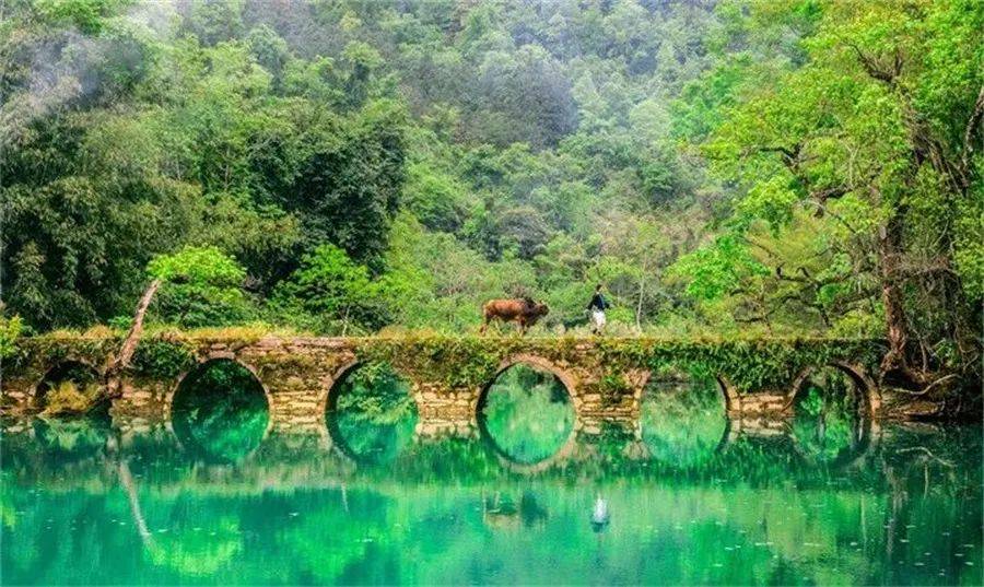 太棒了广西人贵州云南部分景区三月三期间门票半价