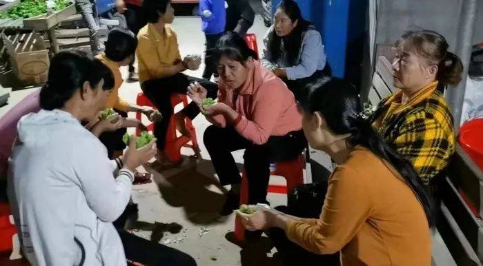 苏贻:那年的菜包饭|海南作家"新时代,新农村"系列主题采访作品_二婶