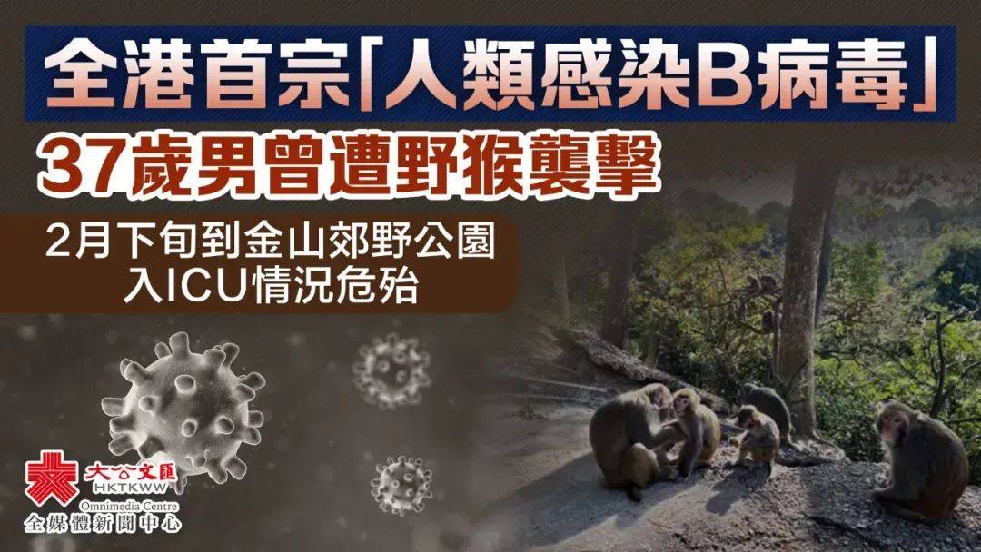 香港发现首例!出门避免接触这种动物→_病毒_传播_猴子