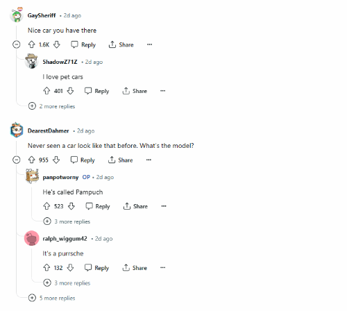 猫猫教狂喜玩家用模拟人生4重现自家猫咪