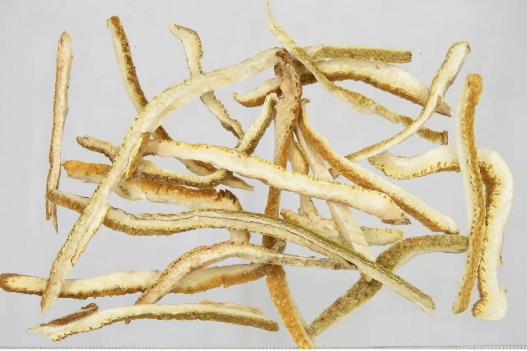 药材 中药 1080_719