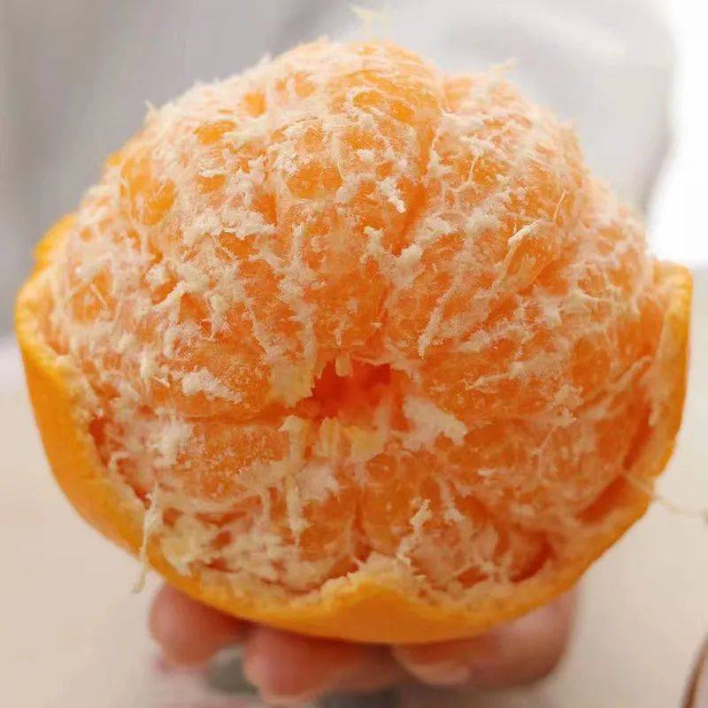 舌尖上的春天|粒粒饱满,汁水丰盈的大雅柑,一个吃不够.