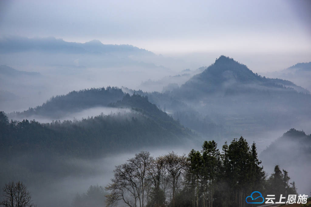 利川云海仙境大茅坡