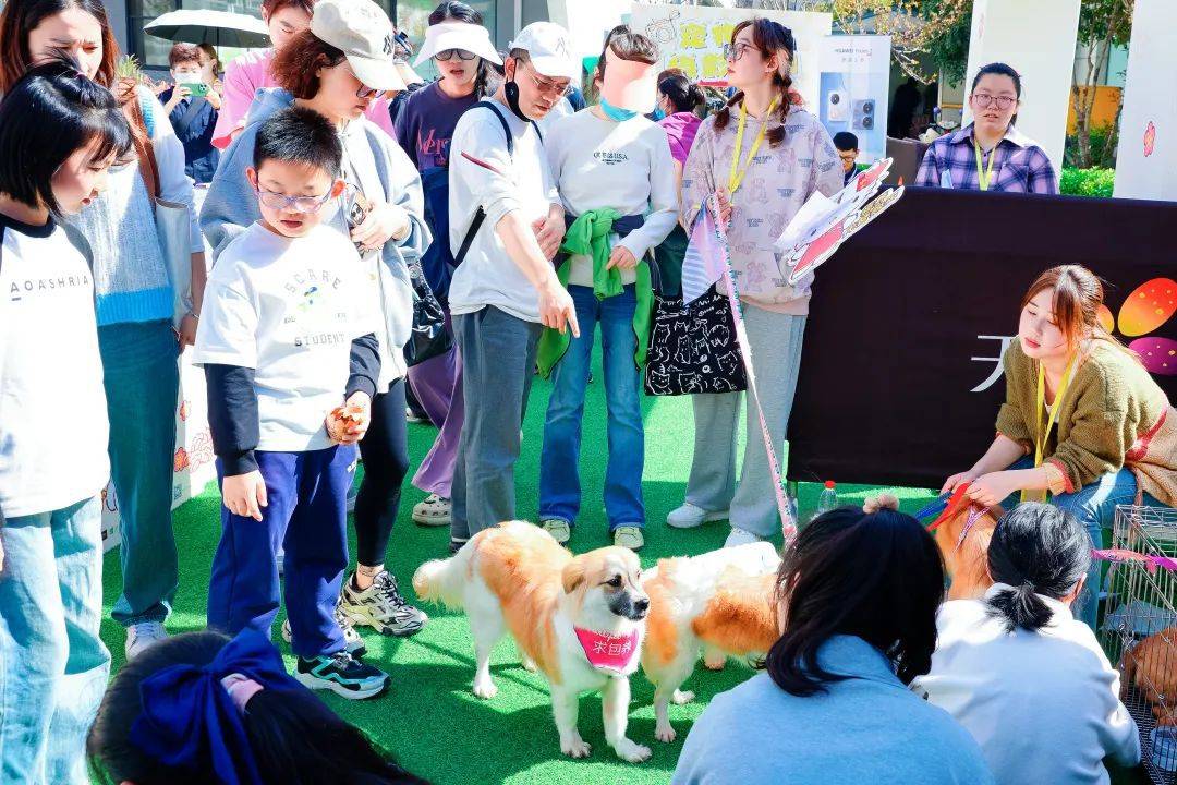 在龙湖华泾天街举行的萌宠盛宴中,汇聚了众多宠物爱好者和家庭.