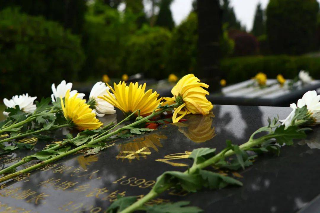 缅怀革命先烈身怀感恩前行第二期校级政治学习课顺利开展