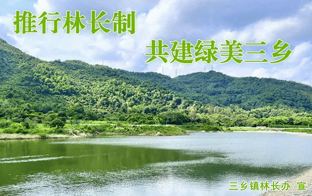 本月中山天气最新消息→_三乡_暴雨_阵雨