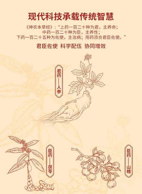 绿之韵韵宜生人参茯苓胶囊新品上市