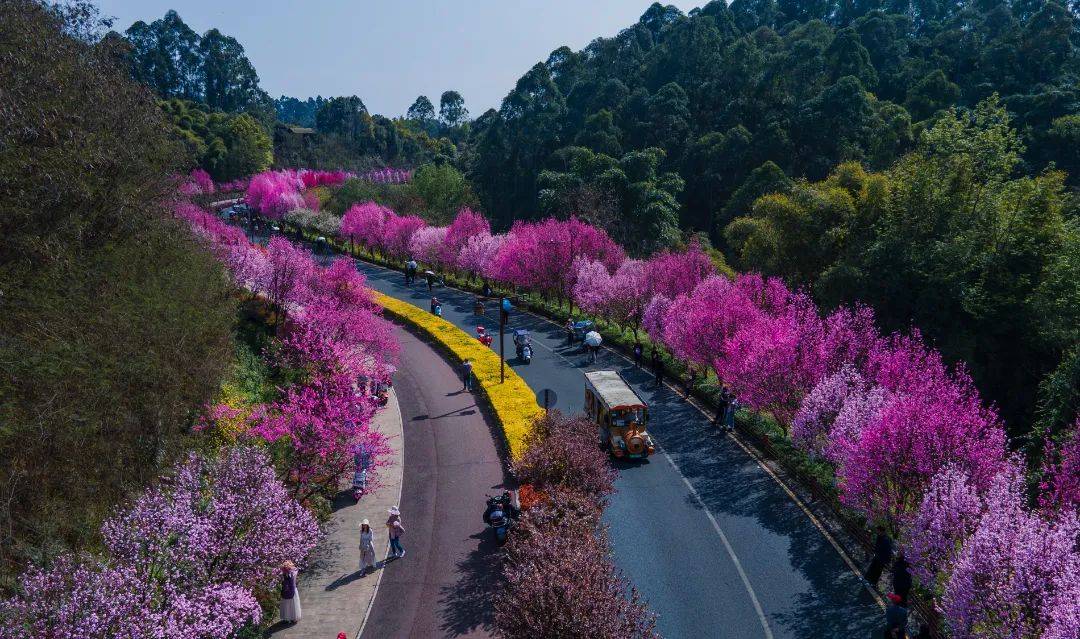 定啦乐山28家a级景区对他们免门票