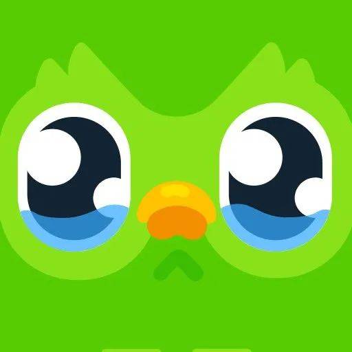 多邻国换丧标主业是整活梗王副业顺便教语言