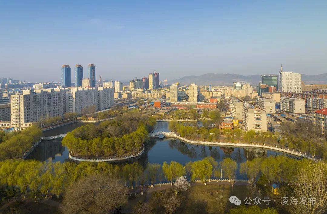 惊喜凌海春放枝头遇见美丽凌海