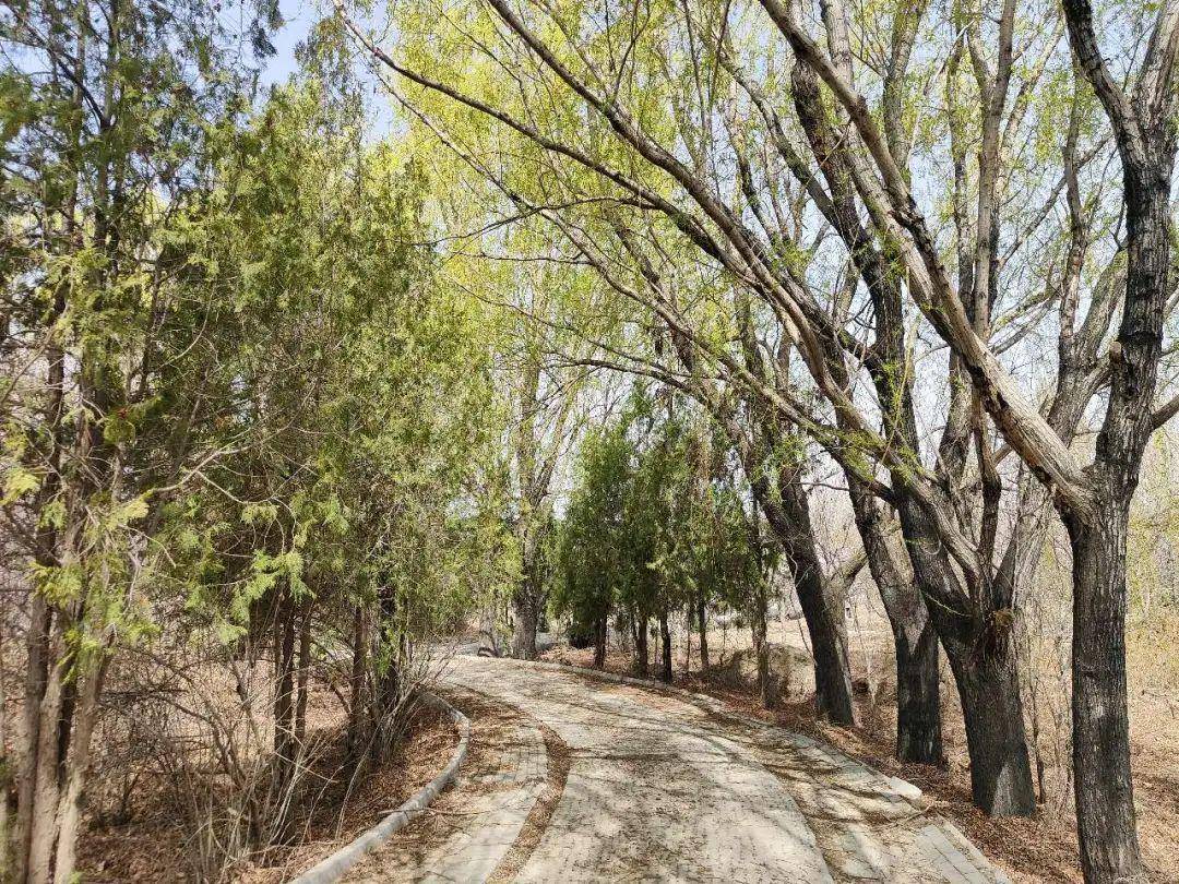 春有花 夏有景 秋有果……靖远小坪山林场生态建设"美颜" 又增收_自然